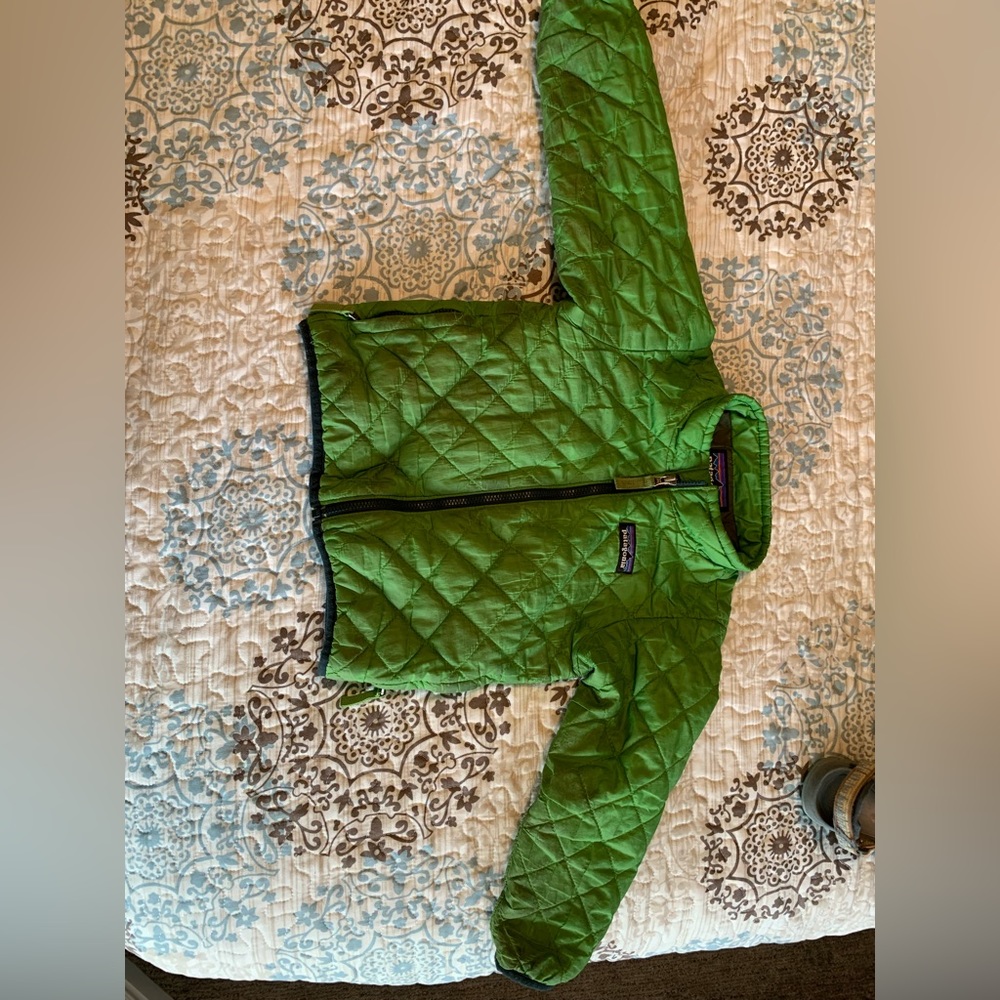 Patagonia Toddler Nano Puff 2T